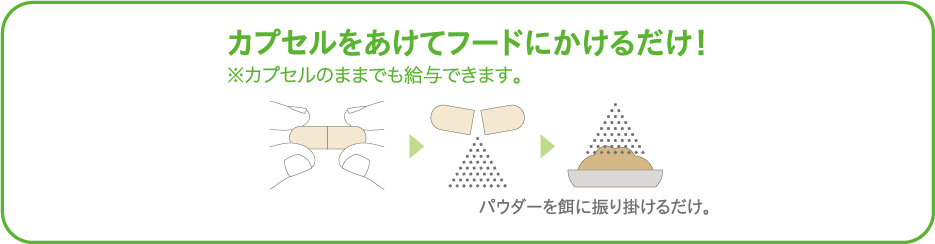 ダスクイン™ パウダーイン